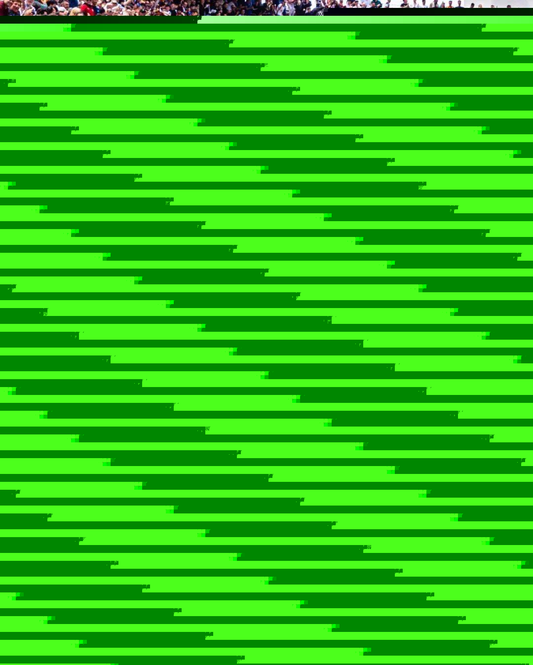 整体构架的