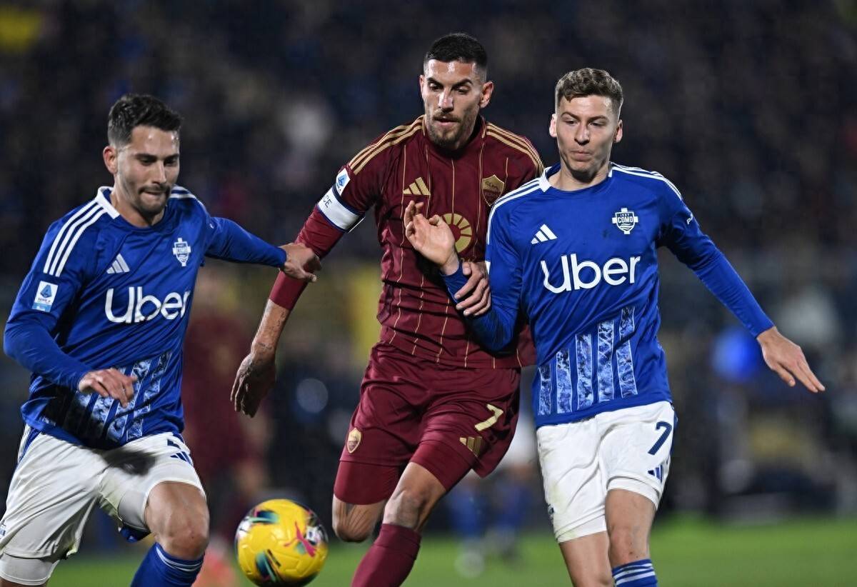 占据主导地 占据主导地