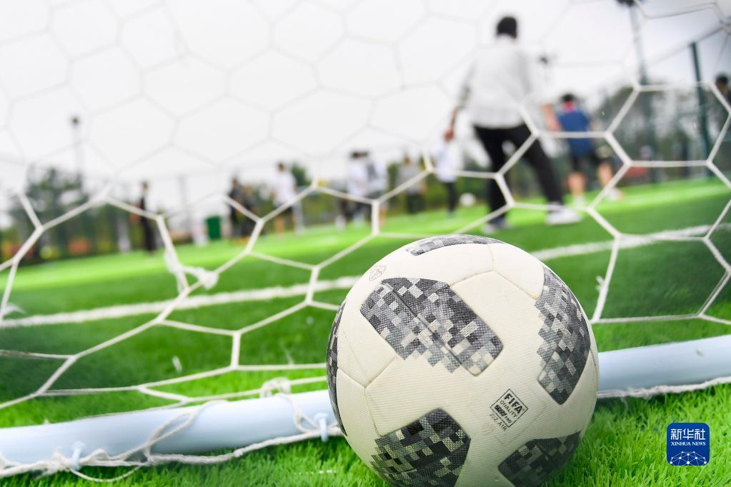 斯占据了主 斯占据了主