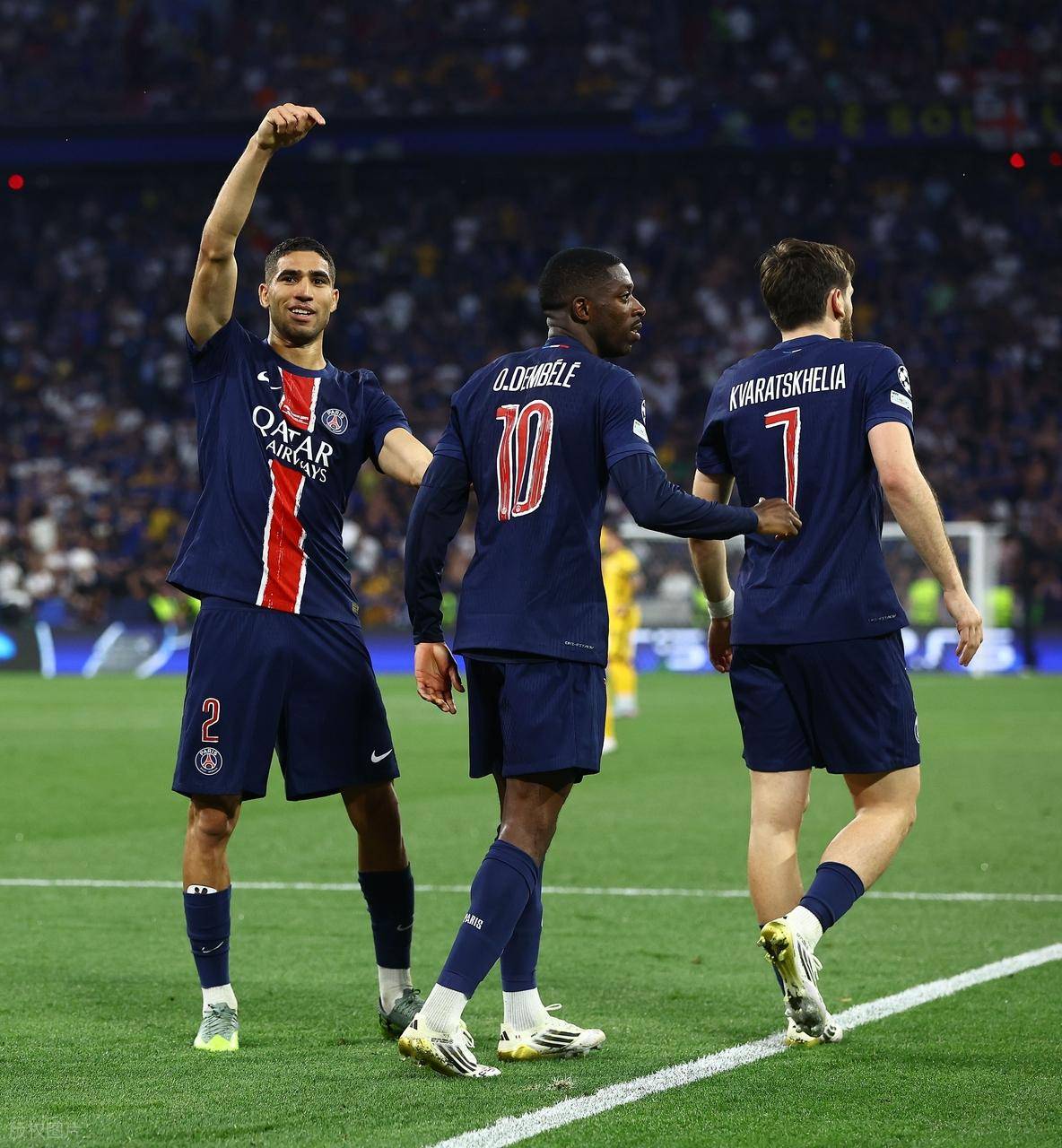 贝拉正在执 贝拉正在执