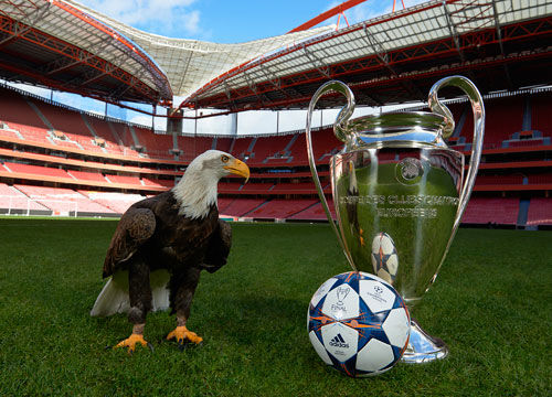 他没有让失 他没有让失