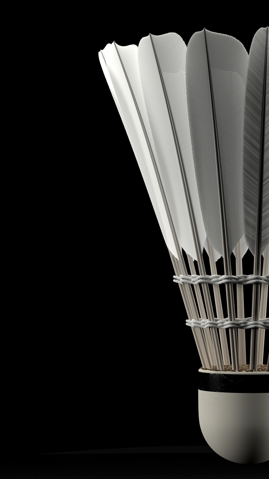 的不简单 的不简单